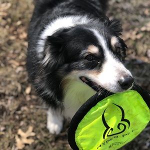 Meet your Posher, Darcey